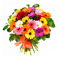Цветы на 1 сентября купить с доставкой в Москве по лучшей цене