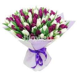 Букет из 101 бело-фиолетового тюльпана