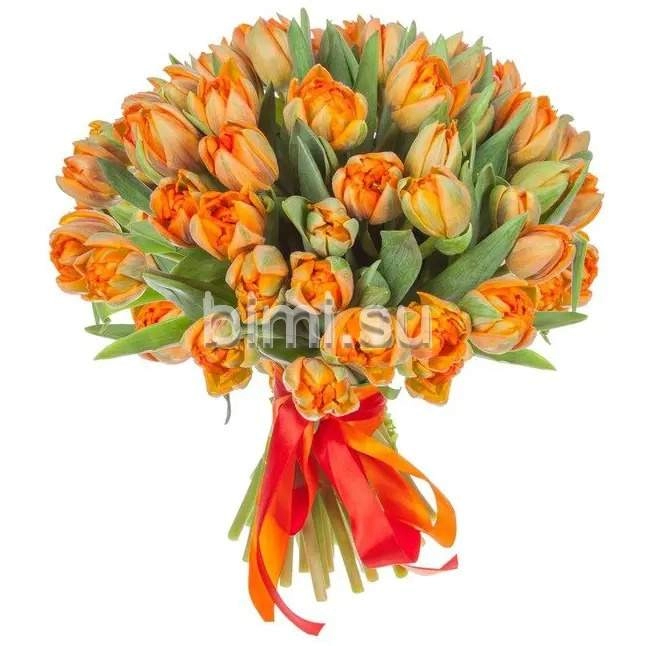 Букет из 49 оранжевых пионовидных тюльпанов